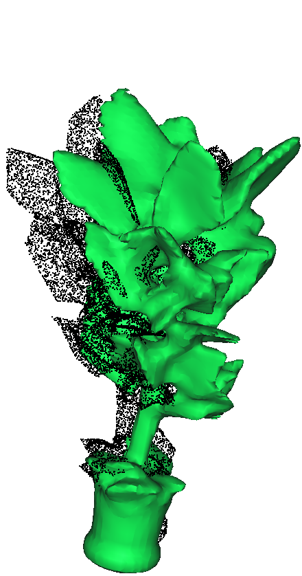 Hydra++ plant mesh